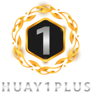 huay1plus